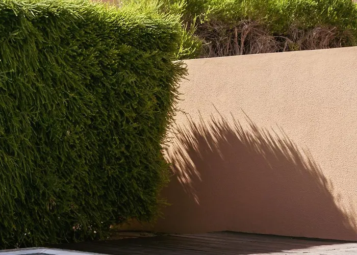 Salgados Premium By Da'home Αλμπουφέιρα